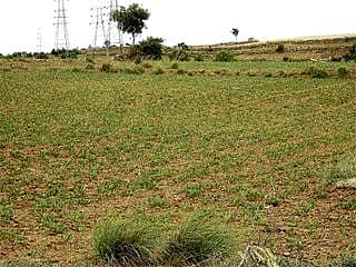 ತುಮಕೂರು: ಮುಂಗಾರು ಮಳೆಗೆ ಮುನ್ನವೇ ಗೋಶಾಲೆ ಬಂದ್!