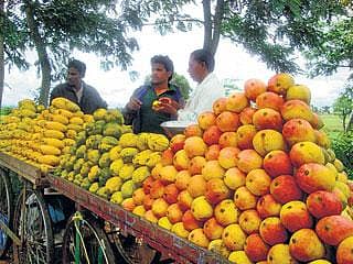 ಮಾ... ಮಾ... ಮಾವು