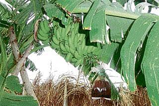 ಸಂಶೋಧನಾ ಫಲ ರೈತರಿಗೆ ದೊರೆಯಲಿ