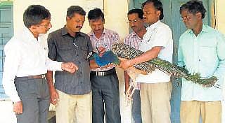 ರಾಷ್ಟ್ರ ಪಕ್ಷಿಗೆ ಸಿಕ್ಕಿತು ಪ್ರಾಣ ಭಿಕ್ಷೆ