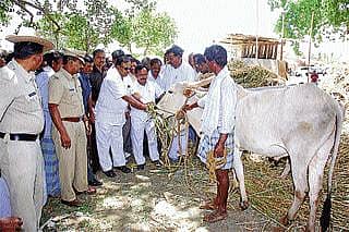 ಗೋಶಾಲೆಯಲ್ಲಿ ರೈತರಿಗೆ ಊಟ: ಪರಿಶೀಲನೆ