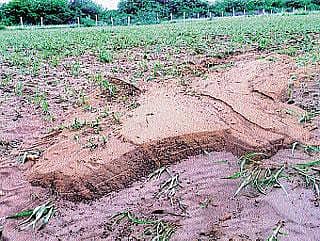 ನೀಲಂ ಅಲ್ಲ ಕಣ್ರೀ, ನಮ್ ಸ್ವಾತಿ ಅಲ್ವೇ...