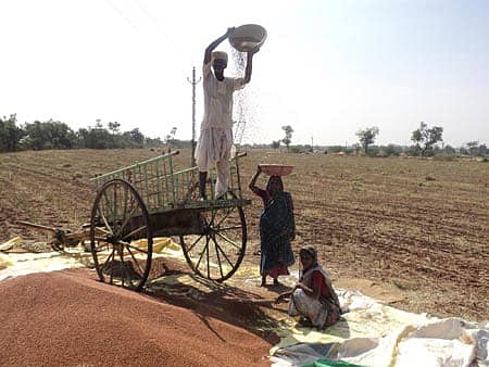 ಕೊಲ್ಹಾರ ಸಮೀಪದ ಅಂಗಡಗೇರಿ ಹೊಲವೊಂದರಲ್ಲಿ ರೈತನೊಬ್ಬ ರಾಶಿ ಮಾಡಿದ ಮೇಲೆ ತೊಗರಿಯನ್ನು ಗಾಳಿಯಲ್ಲಿ ತೂರಿ ಸ್ವಚ್ಛಗೊಳಿಸುತ್ತಿರುವುದು
