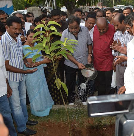 ಮಂಡ್ಯ ಬಳಿಯ ಸ್ವರ್ಣಸ್ವಂದ್ರದಲ್ಲಿ ನಗರಸಭೆ ಹಮ್ಮಿಕೊಂಡ ‘ಸಸಿ ನೆಡುವ ಯೋಜನೆ’ಗೆ ಜಿಲ್ಲಾ ಉಸ್ತುವಾರಿ ಸಚಿವ ಅಂಬರೀಷ್ ಅವರು ಸಸಿ ನೆಡುವ ಮೂಲಕ ಗುರುವಾರ ಚಾಲನೆ ನೀಡಿದರು. ಸಿದ್ದರಾಜು, ಅಮರಾವತಿ ಚಂದ್ರಶೇಖರ್್, ಶಶಿಕುಮಾರ್ ಇದ್ದಾರೆ.