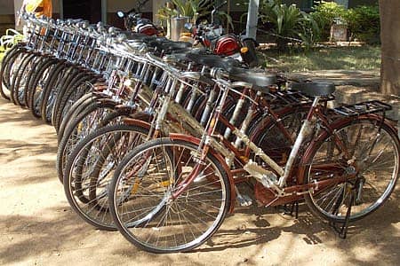 ಸಾಲಾಗಿ ನಿಂತಿರುವ ಸೈಕಲ್‌ಗಳು.