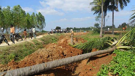 ಕೆಜಿಎಫ್ ಹೊರವಲಯದ ಯರನಾಗನಹಳ್ಳಿ ಬಳಿ ಮಂಗಳವಾರ ರಸ್ತೆ ವಿಸ್ತರಣೆಗೆ ಬಲಿಯಾದ ರೈತರ ತೆಂಗಿನ ಮರಗಳು.