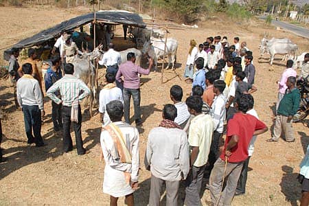 ಚಿಕ್ಕಬಳ್ಳಾಪುರ ತಾಲ್ಲೂಕು ನಂದಿ ಹೋಬಳಿ ಕುಪ್ಪಳ್ಳಿ ಬಳಿ ದನಗಳ ಜಾತ್ರೆಗಾಗಿ ಬುಧವಾರ ರಾಸುಗಳೊಂದಿಗೆ ರೈತರು ಬೀಡುಬಿಟ್ಟಿದ್ದ ಸ್ಥಳಕ್ಕೆ ತಹಶೀಲ್ದಾರ್‌ ನಟೇಶ್‌, ಪಶು ವೈದ್ಯಾಧಿಕಾರಿಗಳು, ಪೊಲೀಸ್‌ ಹಾಗೂ ರೈತ ಮುಖಂಡರು ಭೇಟಿ ನೀಡಿದರು.