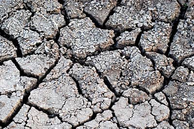 ತಾಲ್ಲೂಕಿನ ಕಣಕಟ್ಟೆ ಗ್ರಾಮದ ದೊಡ್ಡ ಕೆರೆ ಹನಿ ನೀರಿಲ್ಲದೆ ಭಣಗುಡುತ್ತಿದೆ.