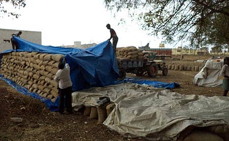 ನರಗುಂದದ ಎಪಿಎಂಸಿ ಆವರಣದಲ್ಲಿನ ಗೋವಿನಜೋಳದ ಚೀಲಗಳು ತುಂತುರು ಮಳೆಗೆ ಒಳಗಾಗಿದ್ದರಿಂದ ಅವುಗಳಿಗೆ ಹೊದಿಕೆ ಹಾಕಲು ಹರಸಾಹಸ ಪಡುತ್ತಿರುವ ದೃಶ್ಯ.