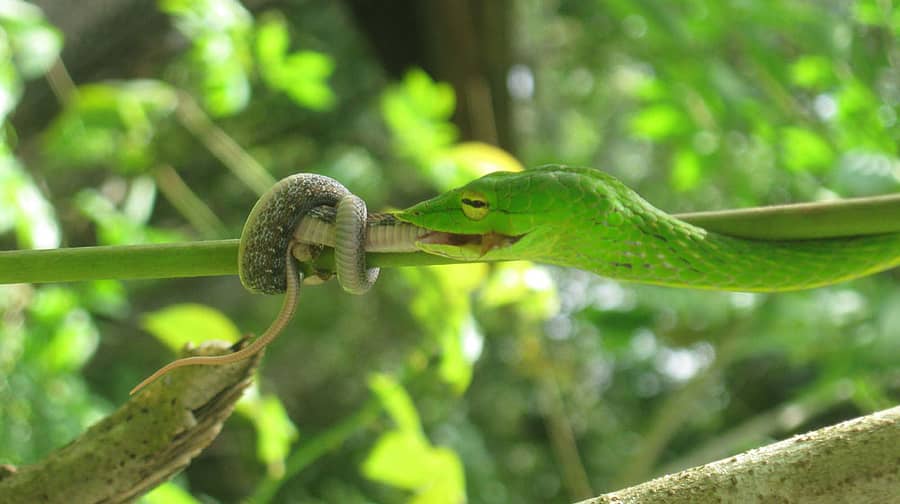 <div class="paragraphs"><p>ಸಾಂದರ್ಭಿಕ ಚಿತ್ರ </p></div>