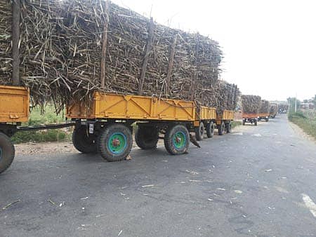 ಮುಧೋಳ ತಾಲ್ಲೂಕಿನ ಮುಖ್ಯ ರಸ್ತೆಯಲ್ಲಿ ನಿಂತಿರುವ ಕಬ್ಬು ತುಂಬಿದ ಟ್ರ್ಯಾಕ್ಟರ್ಗಳು