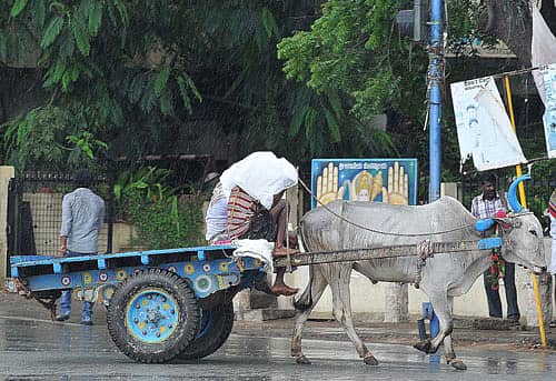 ಬಳ್ಳಾರಿ: ನಿರಾಸೆ ಮೂಡಿಸಿದ `ಮುಂಗಾರಿನ ಮಿಂಚು'