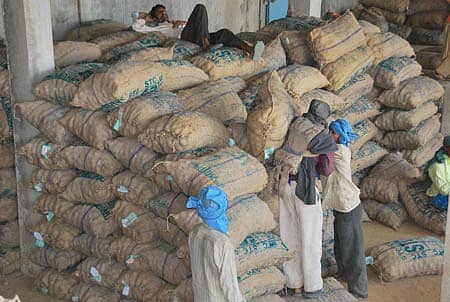 ಹಾಸನದಲ್ಲಿ ಸಂಗ್ರಹವಾಗಿರುವ ಆಲೂಗೆಡ್ಡೆ ಬಿತ್ತನೆ ಬೀಜ (ಸಂಗ್ರಹ ಚಿತ್ರ)