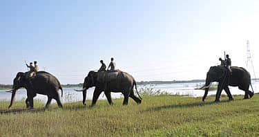 ತುಮಕೂರು ಮಲ್ಲಸಂದ್ರ ಕೆರೆಯಲ್ಲಿ ಬೀಡುಬಿಟ್ಟಿದ್ದ ಕಾಡಾನೆಗಳನ್ನು ಕಾಡಿಗಟ್ಟಲು ಸೋಮವಾರ ದುಬಾರೆ ಶಿಬಿರದ ಹರ್ಷ, ಪ್ರಶಾಂತ್, ವಿಕ್ರಂ ಎಂಬ ಸಾಕಾನೆಗಳನ್ನು ಮಾವುತರು ಕೆರೆಯಲ್ಲಿ ಕಾರ್ಯಾಚರಣೆಗೆ ಇಳಿಸಿದರು.