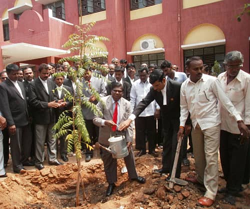 ಶಹಾಪುರ ಪಟ್ಟಣದ ಕೋರ್ಟ್ ಆವರಣದಲ್ಲಿ ಬುಧವಾರ ಸಿವಿಲ್ (ಹಿರಿಯ ಶ್ರೇಣಿ) ನ್ಯಾಯಾಧೀಶ ಕಾರಬಾರಿ ರವೀಂದ್ರ ಸಸಿ ನೆಡುವ ಮೂಲಕ ವಿಶ್ವಪರಿಸರ ದಿನಾಚರಣೆ ಕಾರ್ಯಕ್ರಮವನ್ನು ಉದ್ಘಾಟಿಸಿದರು. ನ್ಯಾಯಾಧೀಶ ವೈ.ಕೆ.ಬೇನಾಳ ಇದ್ದರು