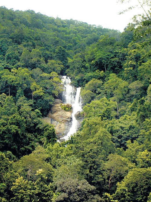 ಕುಮ್ಬಾಳ್ ಜಲಧಾರೆ