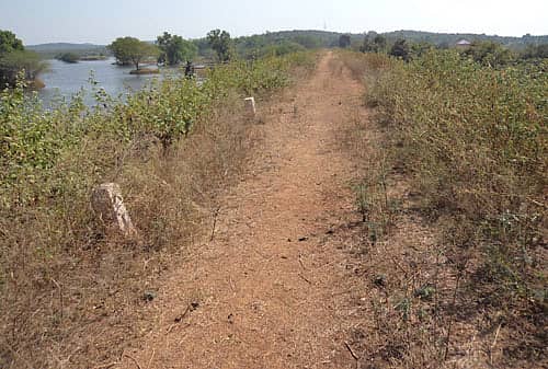 ಅರಣ್ಯ ಸೇರುತ್ತಿದೆ ಜಲಾಶಯದ ನೀರು!