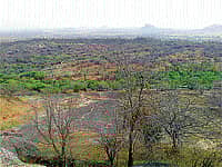 ಗುಡಿಬಂಡೆ ತಾಲ್ಲೂಕು ನರಸಿಂಹದೇವರ ಬೆಟ್ಟ ಮೀಸಲು ಅರಣ್ಯ ಪ್ರದೇಶ.