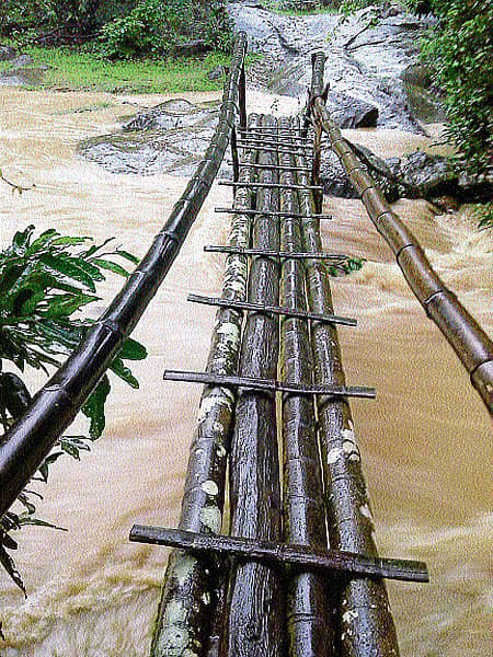 ತೀರ್ಥಹಳ್ಳಿ ತಾಲ್ಲೂಕಿನ ದೇವಂಗಿ ಗ್ರಾಮ ಪಂಚಾಯ್ತಿ ವ್ಯಾಪ್ತಿಯ ಹಡಗಿನಮಕ್ಕಿ ಗಡಬಡೆಹಳ್ಳಕ್ಕೆ ಸ್ಥಳೀಯರು ನಿರ್ಮಿಸಿಕೊಂಡಿರುವ ಅಡಿಕೆ ಮರದ ಕಾಲು ಸೇತುವೆ.