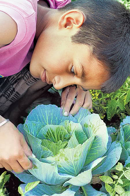 ಪರಿಸರ ಪಾಠ ಮಕ್ಕಳೇಕೆ ಕಲಿಯುತ್ತಿಲ್ಲ?