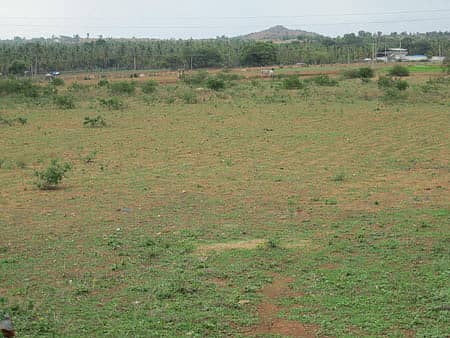 ಬಾಣಾವರದಲ್ಲಿ ವರ್ಷಧಾರೆಯ ಅವಕೃಪೆಯಿಂದ ಕೃಷಿ ಚಟುವಟಿಕೆ ಇನ್ನೂ ಆರಂಭವಾಗಿಲ್ಲ.