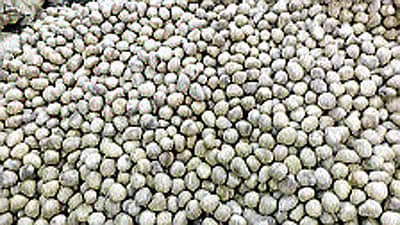 ಕೊಬ್ಬರಿ ಧಾರಣೆ ದಿಢೀರ್ ಚೇತರಿಕೆ