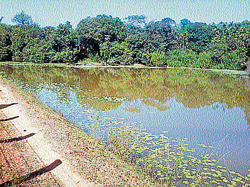 ಗ್ರಾಮದ ಕೆರೆ