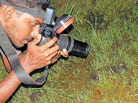 ಶಿರಸಿ ಹುಡುಗನ ಮಂಡೂಕೋಪನಿಷತ್ತು
