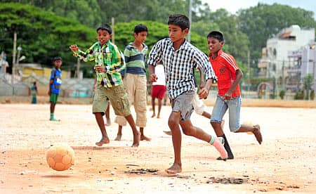 ಗೌತಮಪುರದ ಪೀಲೆಗಳು...