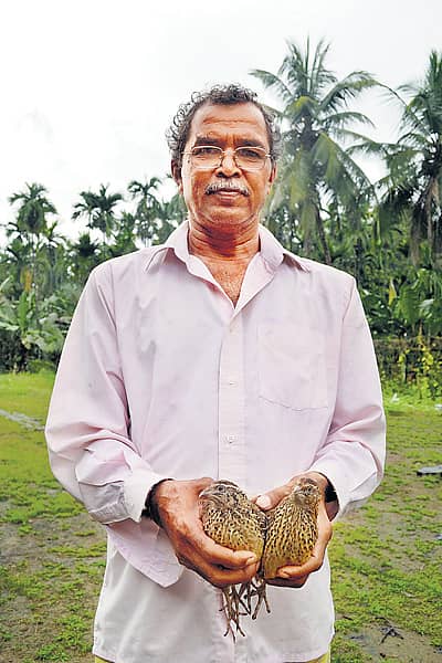 ದಿನಕರ ಗೌಡ ಅವರು ಸಾಕಿದ ಕಾಡೆಗಳು