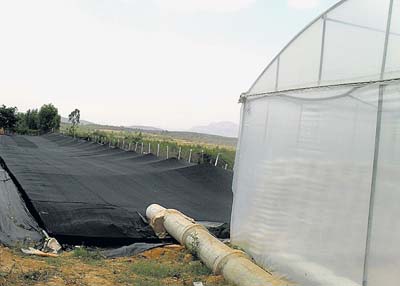 ಹಸಿರು ಮನೆ ಮೇಲ್ಛಾವಣಿ ಮಳೆನೀರು ಸಂಗ್ರಹಣೆಗೆ ಅಳವಡಿಸಿರುವ ಪೈಪ್ಲೈನ್