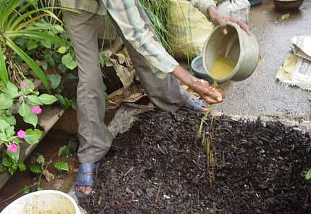 ಇಲ್ಲಿಗೂ ಬಂತು ಜಪಾನಿನ ಇ ಎಮ್‌