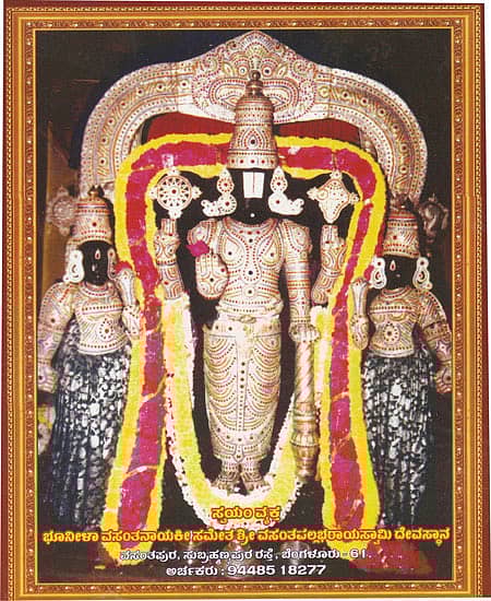 ವಸಂತ ವಲ್ಲಭರಾಯಸ್ವಾಮಿ