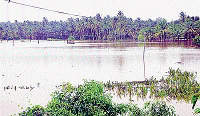 ಬ್ರಹ್ಮಾವರ ಸಮೀಪದ ಹಂದಾಡಿ ಪ್ರದೇಶದಲ್ಲಿ ಸೀತಾ ನದಿ ಉಕ್ಕಿ ಹರಿದು ಅನೇಕರು ದೋಣಿಯ ಆಶ್ರಯ ಪಡೆದರು