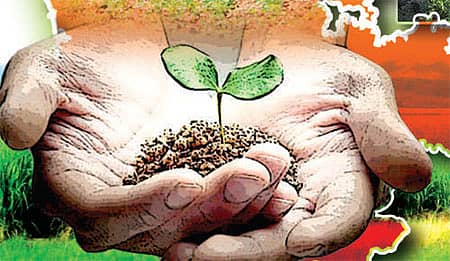 ರೈತರಿಗೆ ಶೀಘ್ರ ಕೃಷಿ ವಿವಿ ವೆಬ್ಸೈಟ್