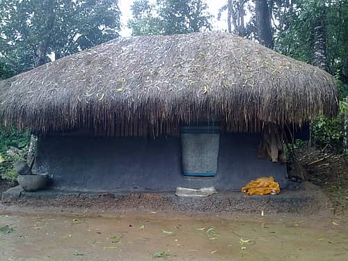 ಚಿಕ್ಕಮಗಳೂರು ಜಿಲ್ಲೆಯ ಕುದುರೆಮುಖ ರಾಷ್ಟ್ರೀಯ ಉದ್ಯಾನದೊಳಗಿನ ಕುಟುಂಬ