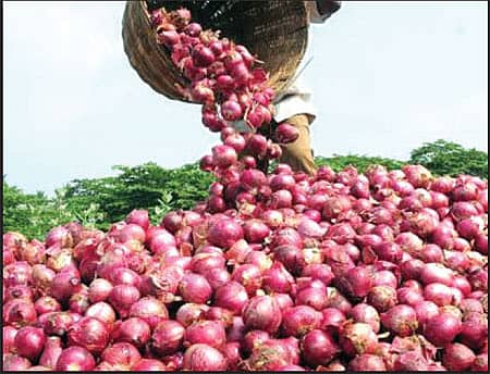 ಈರುಳ್ಳಿ ಕನಿಷ್ಠ ರಫ್ತು ದರ ಏರಿಕೆ