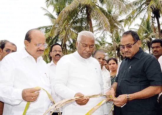 ತುಮಕೂರು ಜಿಲ್ಲೆಯಲ್ಲಿ ತೆಂಗು ಬೆಳೆ ನಾಶವಾಗಿರುವ ಬಗ್ಗೆ ಕೇಂದ್ರ ಸರ್ಕಾರದ ತೋಟಗಾರಿಕೆ ಇಲಾಖೆ ಅಧಿಕಾರಿ ಡಾ.ಗೋರಕ್ಸಿಂಗ್ ನೇತೃತ್ವದ ತಂಡ ಶನಿವಾರ ಗುಬ್ಬಿ ತಾಲ್ಲೂಕಿಗೆ ಭೇಟಿ ನೀಡಿ ಪರಿಶೀಲನೆ ನಡೆಸಿತು. ಜಿಲ್ಲಾ ಉಸ್ತುವಾರಿ ಸಚಿವ ಟಿ.ಬಿ.ಜಯಚಂದ್ರ, ಸಂಸದ ಜಿ.ಎಸ್.ಬಸವರಾಜು, ವಿಧಾನ ಪರಿಷತ್ ಸದಸ್ಯ ಡಾ.ಎಂ.ಆರ್.ಹುಲಿನಾಯ್ಕರ್, ಜಿಲ್ಲಾಧಿಕಾರಿ ಕೆ.ಎಸ್.ಸತ್ಯಮೂರ್ತಿ ಇದ್ದರು.