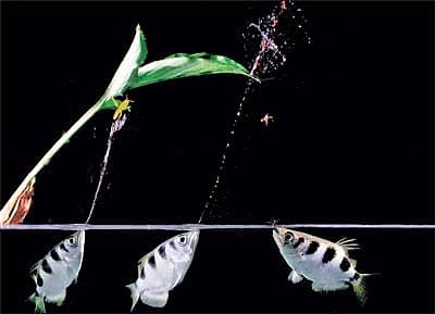 <div class="paragraphs"><p>ಸಾಂದರ್ಭಿಕ ಚಿತ್ರ</p></div>