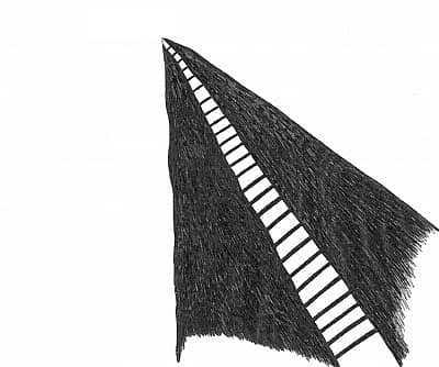 (ಡಾ. ಸಿ. ರವೀಂದ್ರನಾಥ್)