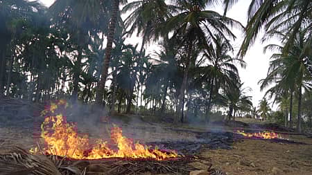 ಿಕ್ಕನಾಯಕನಹಳ್ಳಿ ತಾಲ್ಲೂಕು ದೇವರಹಳ್ಳಿ ತೋಟದಲ್ಲಿ ತ್ಯಾಜ್ಯಕ್ಕೆ ಬೆಂಕಿ ಇಡಲಾಗಿದೆ