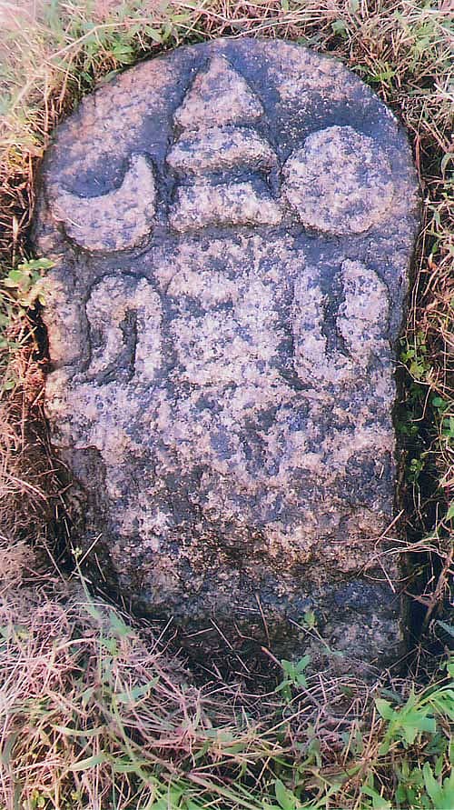ಕೊಪ್ಪ ಸಮೀಪದ ಕಲ್ಲು ಬಸ್ತಿಯಲ್ಲಿ ‘ಬಗ್ಗುಂಜಿ ರಾಣಿ’ಯ ಶಿಲಾಶಾಸನ ಪತ್ತೆ
