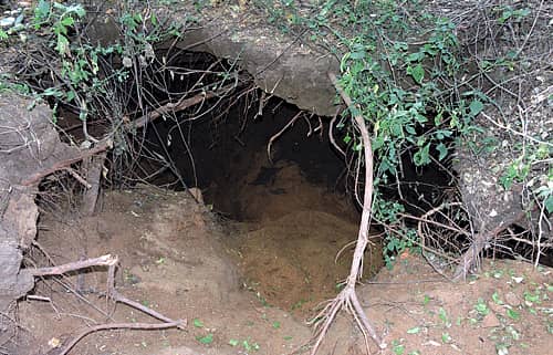 ಯಳಂದೂರಿನ ಸುವರ್ಣಾವತಿ ನದಿ ದಡದ ಖಾಸಗಿ ಜಮೀನಿನಲ್ಲಿ ಮರಳುಗಳ್ಳರು ತೋಡಿರುವ ಗುಂಡಿ