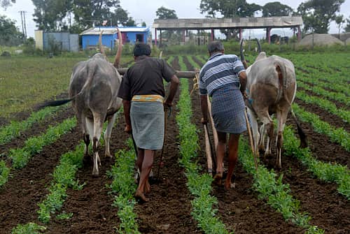 ಶೇ 23 ಬಿತ್ತನೆ ಪೂರ್ಣ; ಬಿತ್ತನೆ, ರಸಗೊಬ್ಬರ ದಾಸ್ತಾನು