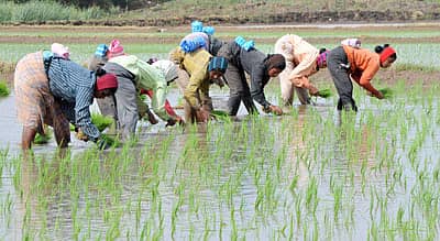 -ಸಾಂದರ್ಭಿಕ ಚಿತ್ರ