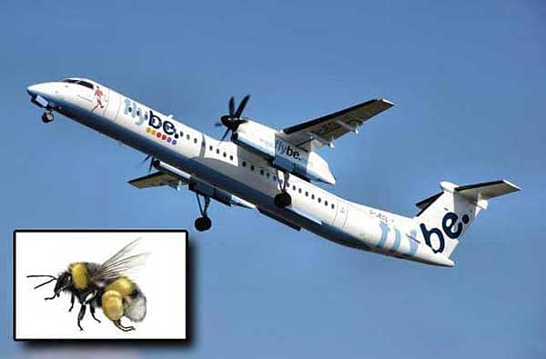 ವಿಮಾನ ಕೆಳಗಿಳಿಸಿದ ಜೇನು ನೊಣ