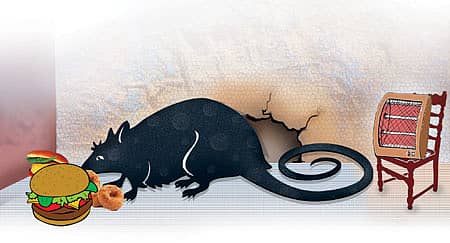 ವಿಜಯಕುಮಾರಿ ಆರ್.