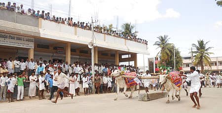 ಸಿಂಧನೂರಿನ ಎಪಿಎಂಸಿಯಲ್ಲಿ ಕಾರಹುಣ್ಣಿಮೆ ಅಂಗವಾಗಿ ಹಮ್ಮಿಕೊಂಡಿದ್ದ ಸ್ಪರ್ಧೆಯಲ್ಲಿ ಜೋಡಿ ಎತ್ತು 2.1 ಟನ್ ಭಾರದ ಕಲ್ಲು ಎಳೆದವು