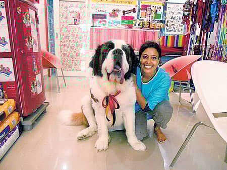 ಮುದ್ದುನಾಯಿಗೆ ಚೆಂದದ ‘ಸ್ಪಾ’!