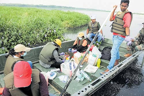ಭಾರತೀಯ ವಿಜ್ಞಾನ ಸಂಸ್ಥೆ ಹಾಗೂ ಮದ್ರಾಸ್‌ ಎಂಜಿನಿಯರಿಂಗ್‌ ಗ್ರೂಪ್‌ನ ಸದಸ್ಯರು ಬೆಳ್ಳಂದೂರು ಕೆರೆಯಲ್ಲಿ ಸಮೀಕ್ಷೆ ನಡೆಸಿದರು    –ಪ್ರಜಾವಾಣಿ ಚಿತ್ರಗಳು/ಬಿ.ಎಚ್‌.ಶಿವಕುಮಾರ್‌